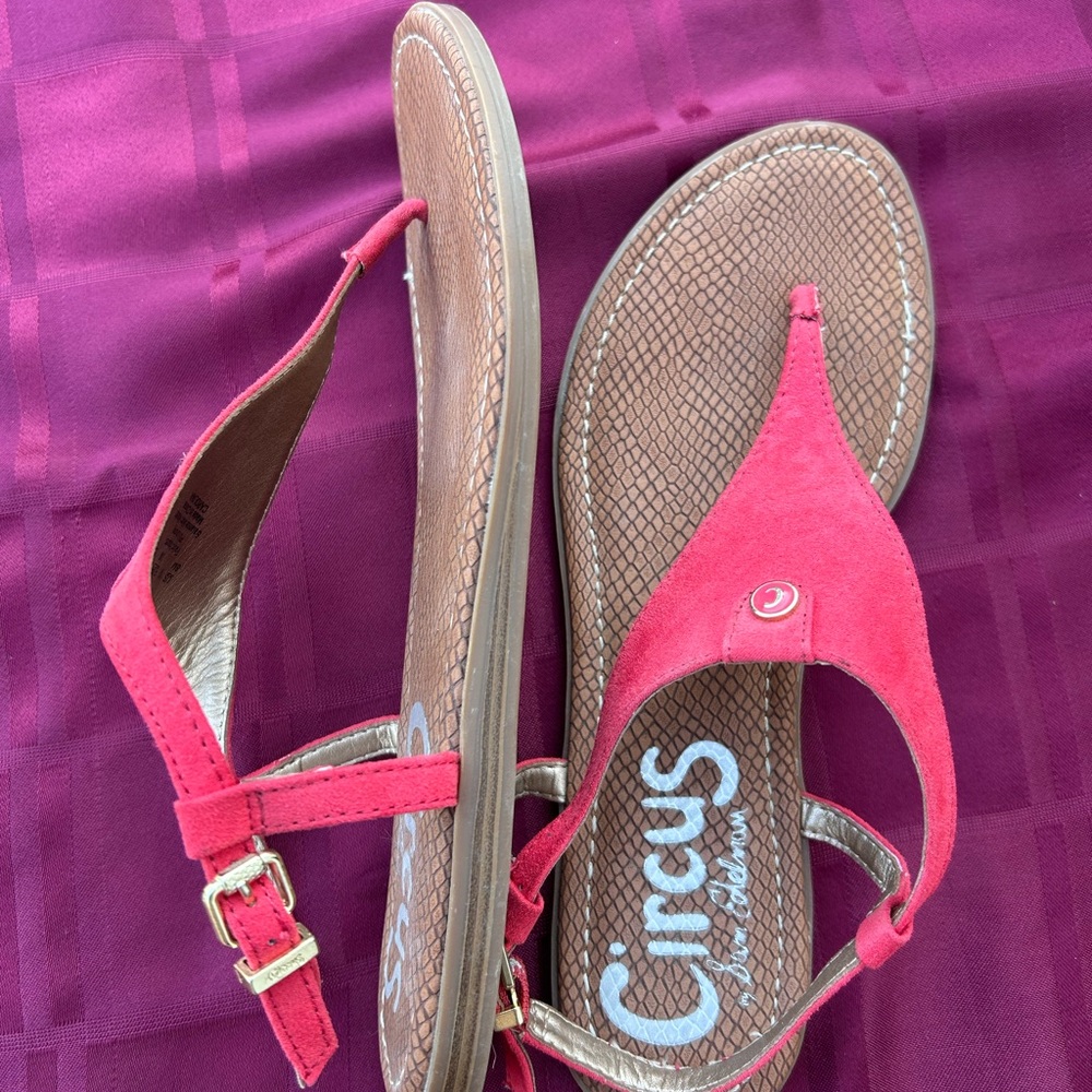 Circus by Sam Edelman Sandals